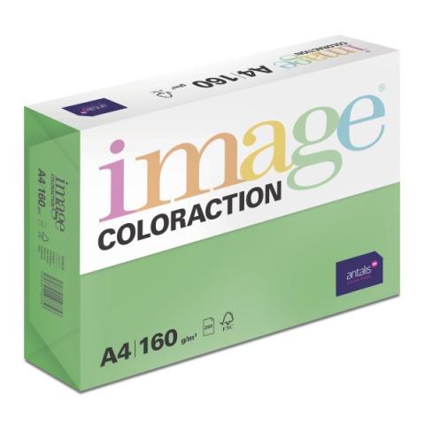 Papír barevný Color A4/160gr Dublin sytě zelený DG47