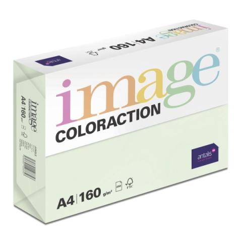 Papír barevný Color A4/160gr Jungle pastelově světle zelený GN27
