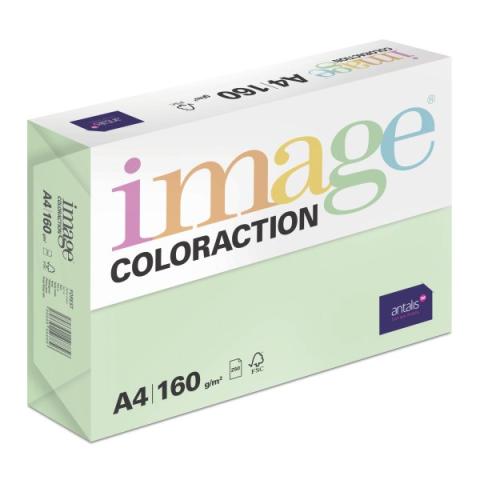 Papír barevný Color A4/160gr Forest pastelově zelený MG28