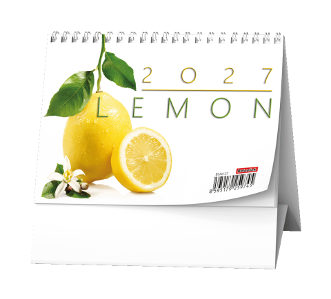 Kalendář stolní pracovní čtrnáctidenní Lemon BSA0